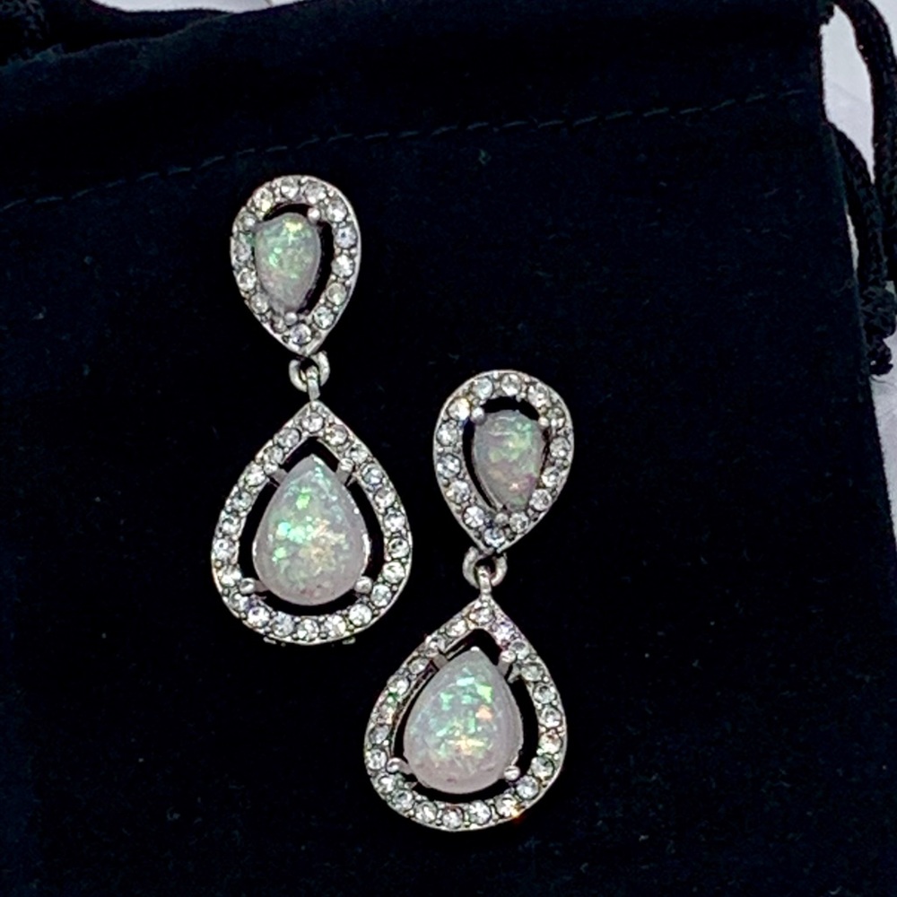 Fashion earrings